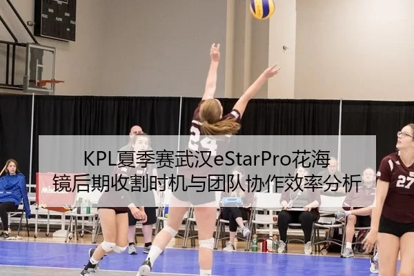 KPL夏季赛武汉eStarPro花海镜后期收割时机与团队协作效率分析